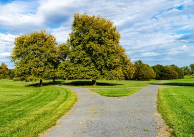 Parkta yürüyüş yolu ikiye ayrılır.