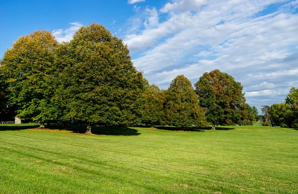 Beautiful autumn day in a park setting Royalty Free Stock Photos