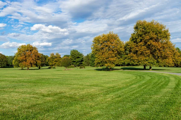 Stor gräsyta i en park med dramatisk himmel Stockbild
