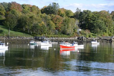 Maine Rockport deniz limandaki tekneler