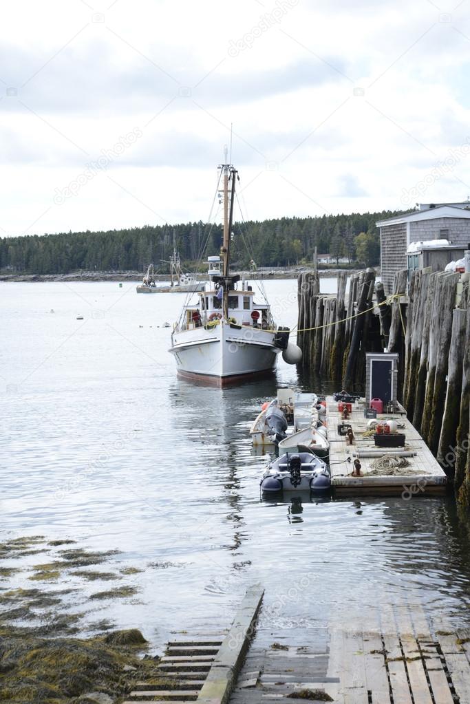 boats docked in Port Clyde, Maine