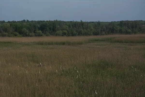 Letecký pohled na jezera — Stock fotografie