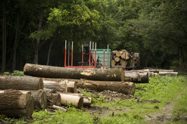 Arbetar kran i en skog bygga en stack av stockar — Stockfoto