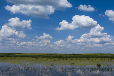 Sarı lilyum ile bahar Gölü