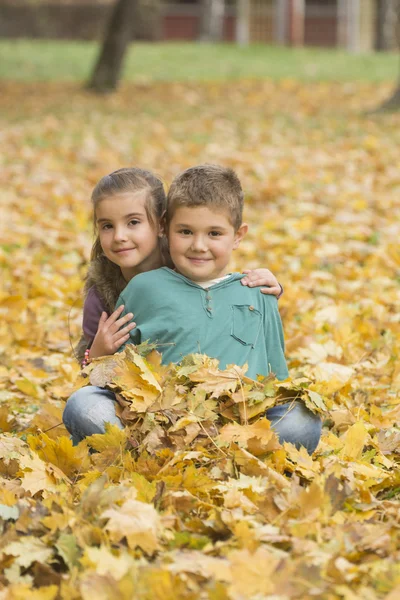 Children playing in autumn  park Stock Image