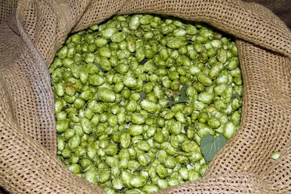 Bir çuval içinde atlama.