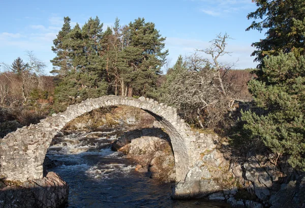 Старий Packhorse міст, Carrbridge Стокова Картинка