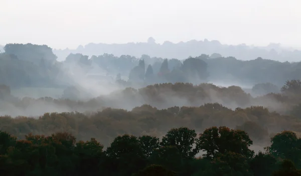 Brume d'automne — Photo