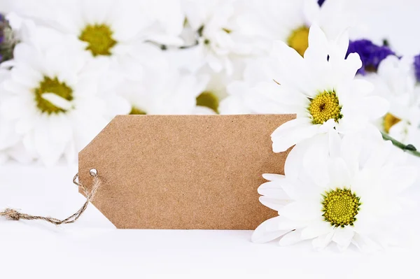 Blank Card and Daisies — Stock Photo, Image