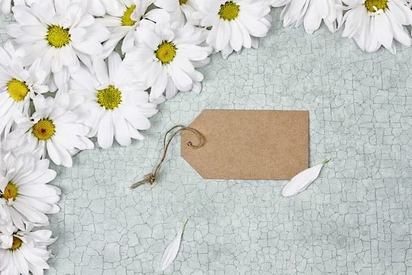 白色雏菊和空白卡 — 图库照片