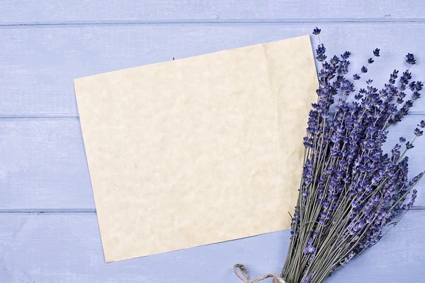 Lavendel en blanco papier — Stockfoto