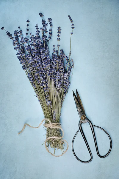 Lavendel en antieke schaar — Stockfoto