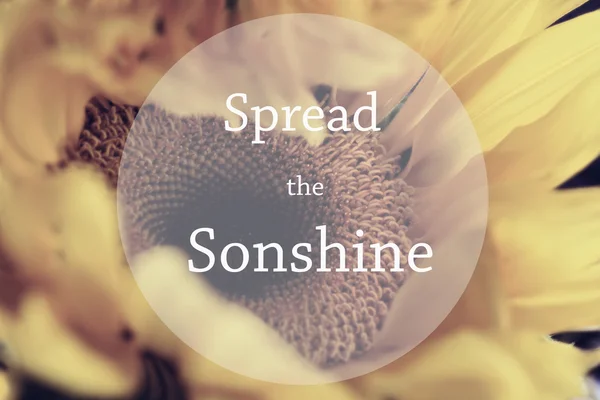 Spread the Sonshine — Stock Photo, Image