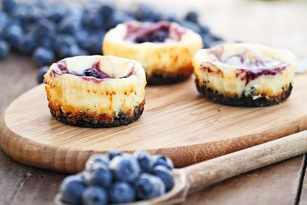 Mini blåbär Cheesecakes — Stockfoto