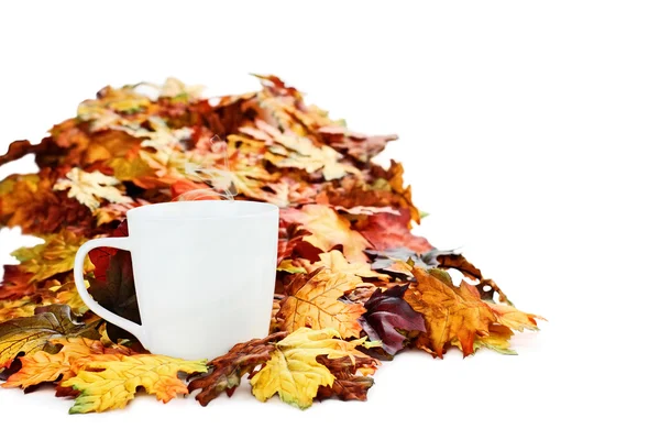 Koffie en Herfstbladeren — Stockfoto