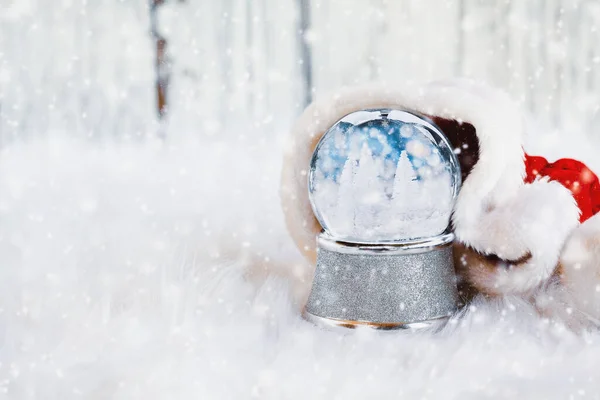 Kış Sahneli Kar Küresi Etrafı Kar Yağan Noel Baba Şapkasıyla — Stok fotoğraf