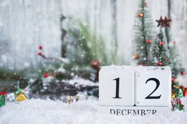 12 Aralık tarihli beyaz ahşap takvim blokları ve karlı Noel süslemeleri. Bulanık arkaplan ile seçmeli odak. 