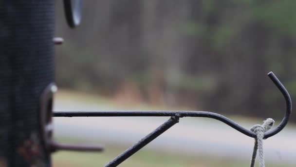 Tufted Titmouse Baeolophus Bicolor Zittend Aan Een Vogelvoedermachine Die Een — Stockvideo