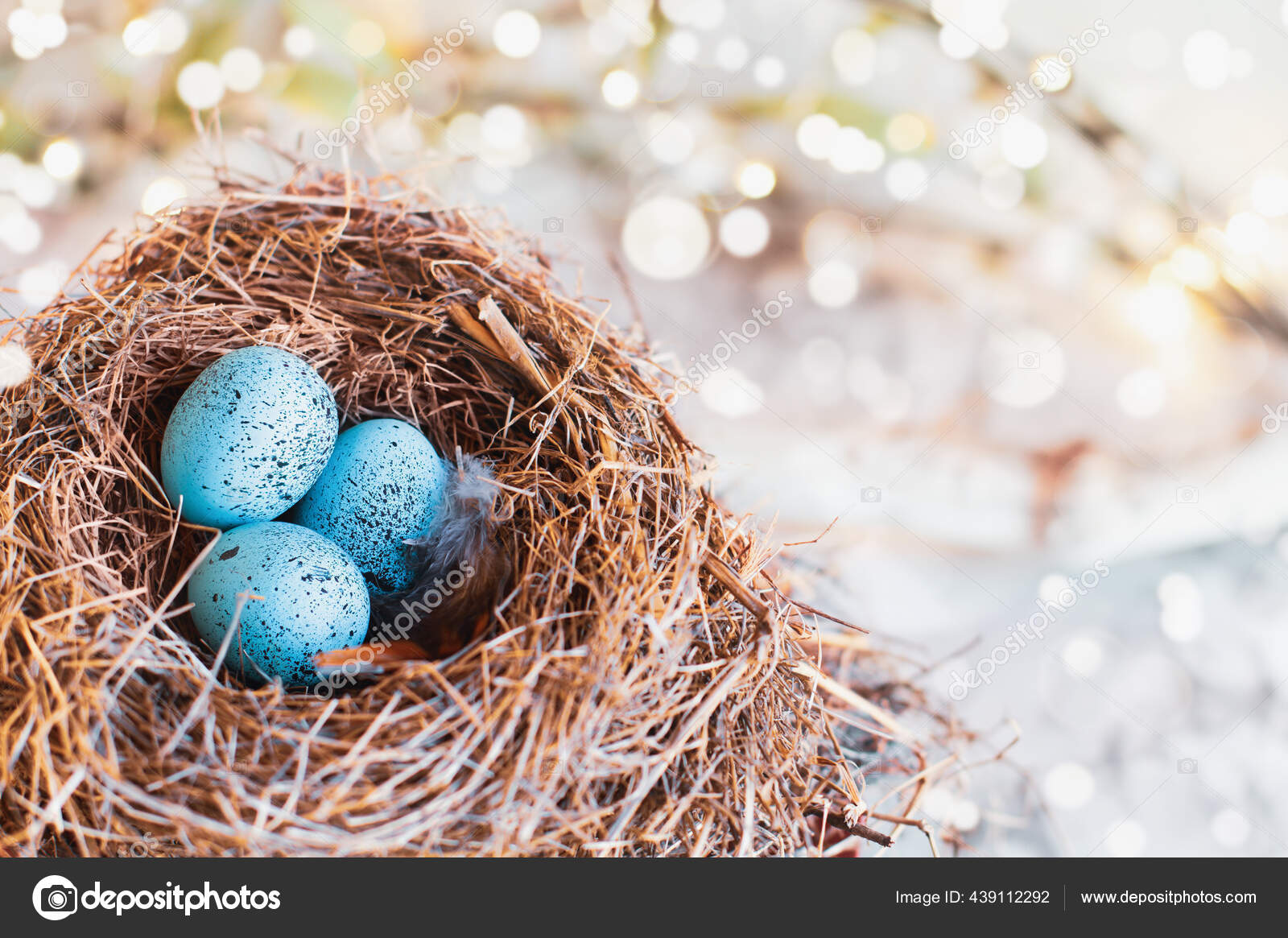 Três Ovos Passarinho Azul Robin Salpicados Verdadeiro Ninho Pássaros  Extrema — Foto © StephanieFrey #439112292, image size:1600x1165