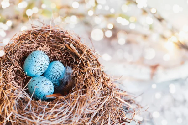 Drei Gesprenkelte Blaue Singvogeleier Einem Echten Vogelnest Extrem Flache Schärfentiefe — Stockfoto