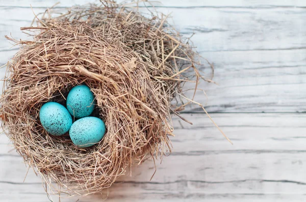 Echt Nest Met Blauwe Gespikkelde Vogeleieren Een Rustieke Witte Houten — Stockfoto