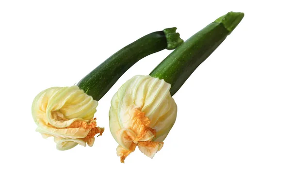 Baby Courgette Zucchini Squash Met Bloesems Geïsoleerd Een Witte Achtergrond — Stockfoto