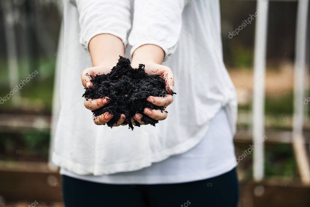 Young woman's hands holding fresh compost with blurred raised beds in a garden. 