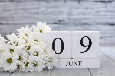 9 Haziran tarihli beyaz tahta takvim blokları ve beyaz papatyalar. Bulanık arkaplan ile seçmeli odak. 