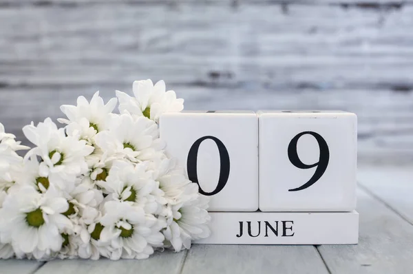 White Wood Calendar Blocks Date June 9Th White Daisies Selective — Stock Photo, Image