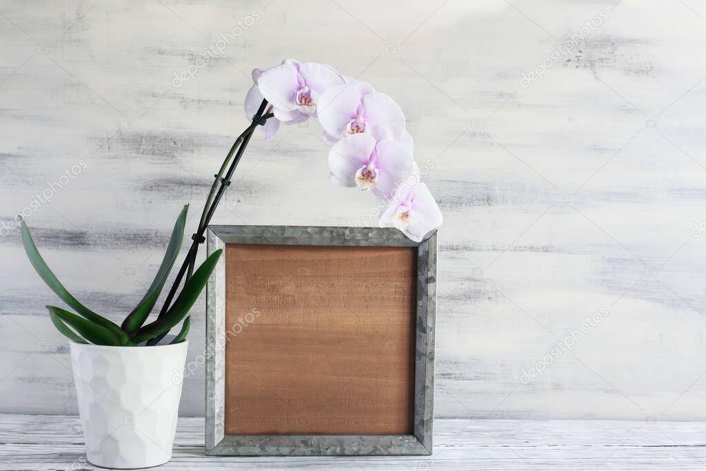 Blank wood farmhouse sign or picture frame with a pink flowering orchid over a rustic table with white wooden background. Free space for text.