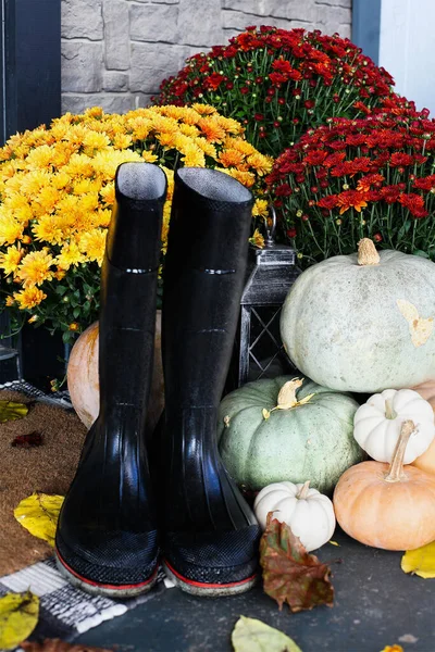 Rain boots sitting on door mat of front porch that has been decorated for autumn with heirloom white, orange and grey pumpkins and mums. Selective focus with blurred foreground and background.