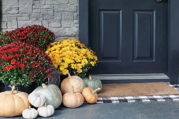 Ärftlig Vit Orange Och Grå Pumpor Med Färgglada Mammor Sittande — Stockfoto