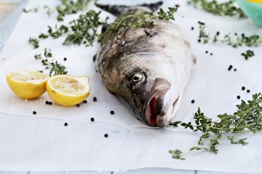 Striped Bass and Ingredients clipart