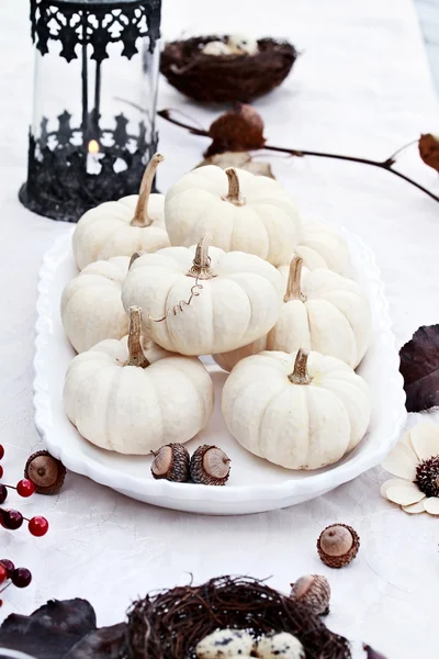 White Autumn Table Setting — Stock Photo, Image