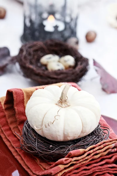 Beautiful Table Setting — Stock Photo, Image