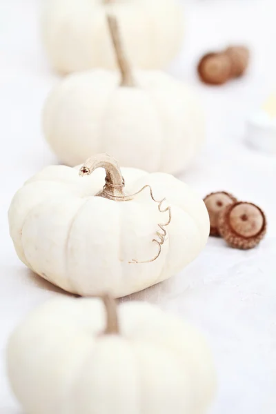 White Pumpkins and Acorns — Stock Photo, Image