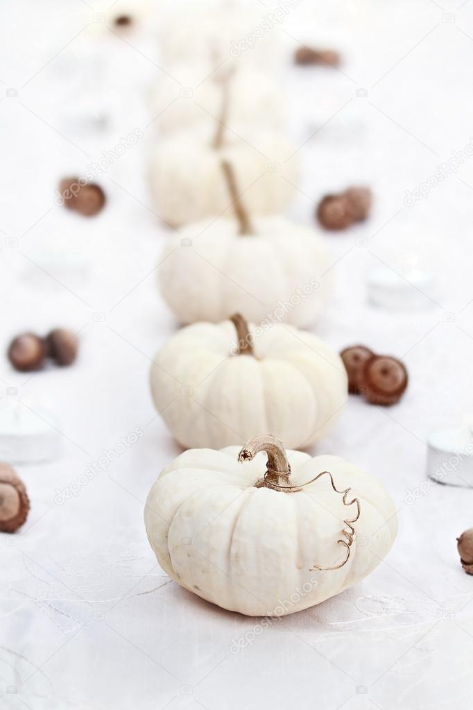 White Pumpkins in a Row