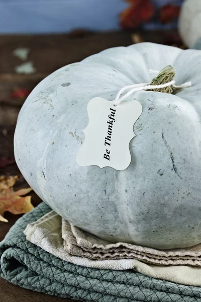 Tal or Blue Colored Pumpkin with Text — стоковое фото