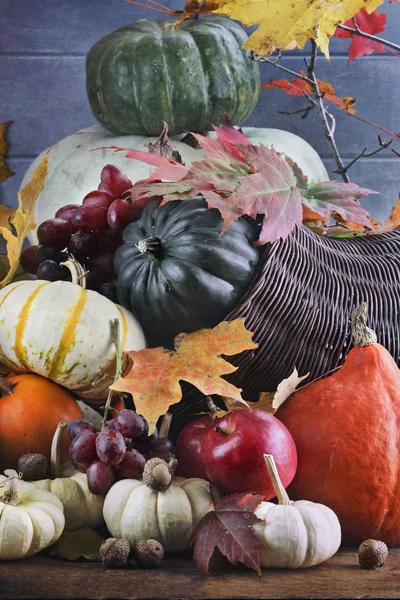 Vintage Cornucopia or Horn of Plenty — Stock Photo, Image