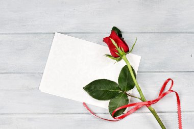Boş kartı ile kırmızı gül