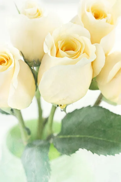 Μακρύ στέλεχος κίτρινα τριαντάφυλλα — Φωτογραφία Αρχείου