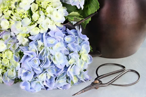 Hortensien und Gartenzubehör schneiden — Stockfoto