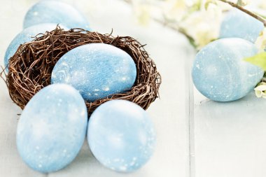Mavi Paskalya yumurtaları ve yuva