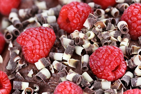 Red Raspberries and Chocolate Curls — Stock Photo, Image