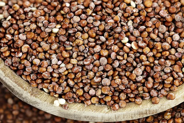 Red Quinoa — Stock Fotó