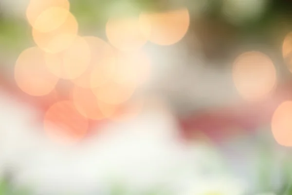 Flou bokeh — Photo