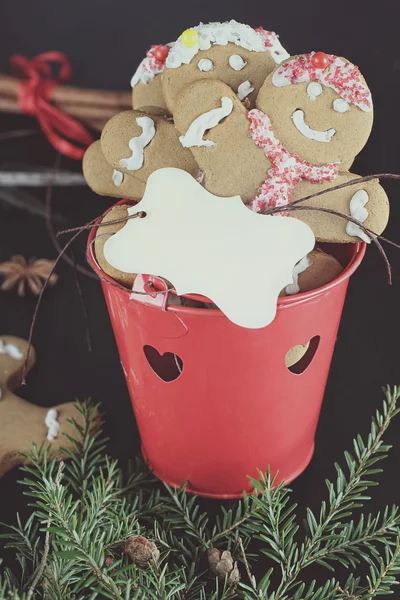 Biscoitos de gengibre — Fotografia de Stock