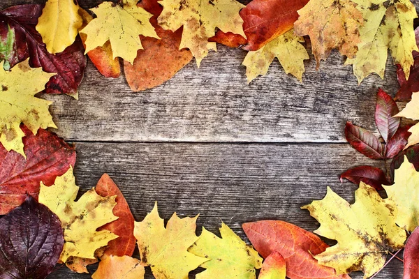 Rustikale Herbstblätter Hintergrund — Stockfoto