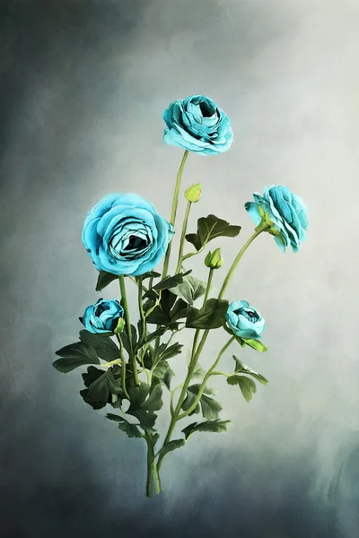 Hermoso azul Ranunculus —  Fotos de Stock