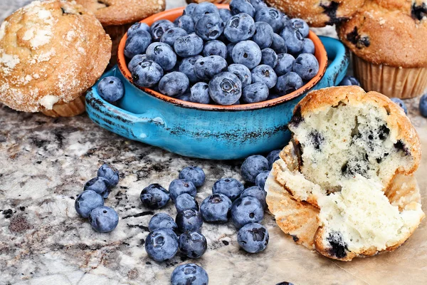Deliciosos muffins de mirtilo — Fotografia de Stock